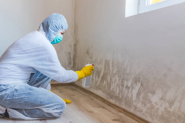 Licensed Commercial Mold Remediation service in Hughesville, PA - WQB Mold Removal