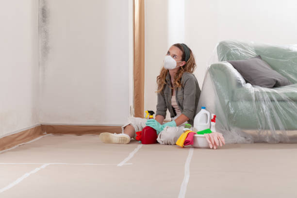 Reliable Commercial Mold Remediation contractor in Hughesville, PA by WQB Mold Removal